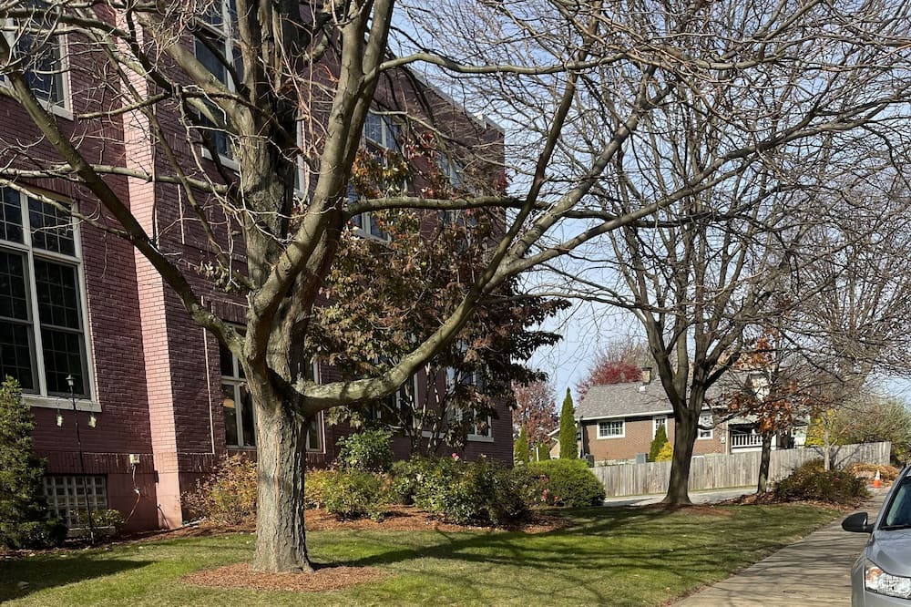 Photo of Others in New Kensington