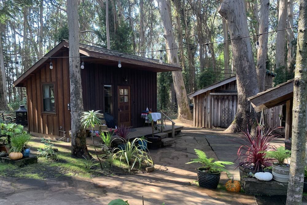 Photo of Outdoor in Mendocino