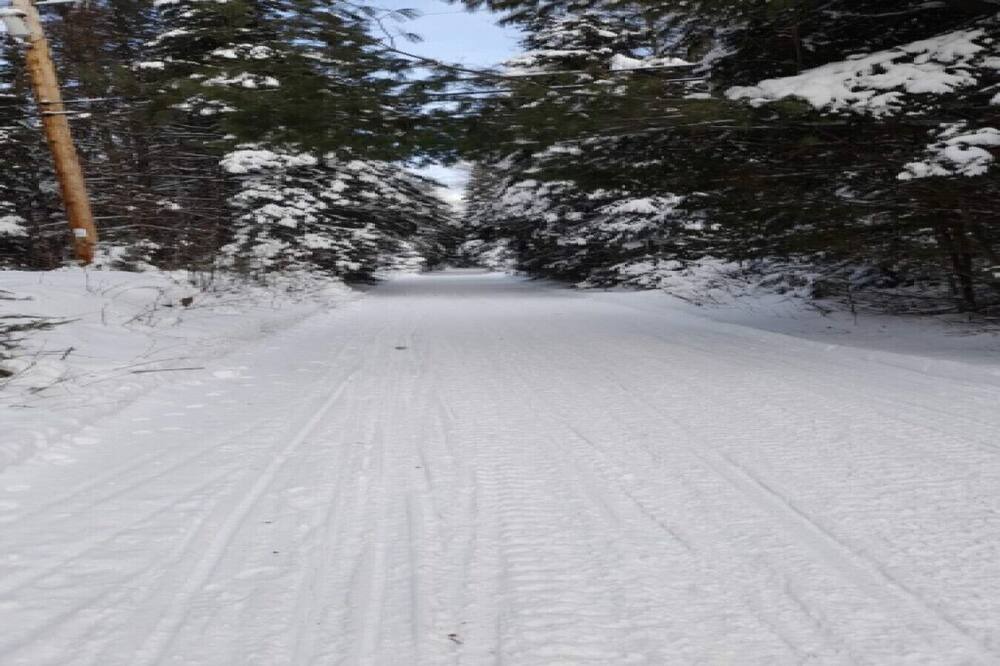 Photo of Outdoor in Coe Hill