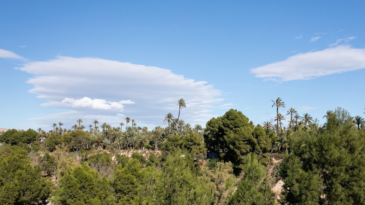 Photo of Others in Elche