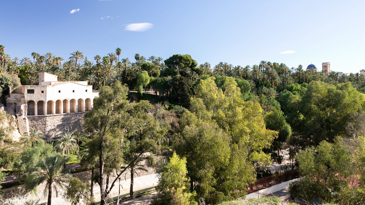 Photo of Outdoor in Elche