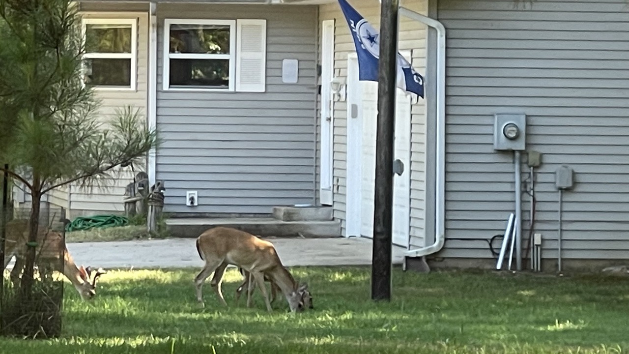 Photo of Outdoor in Lakeview