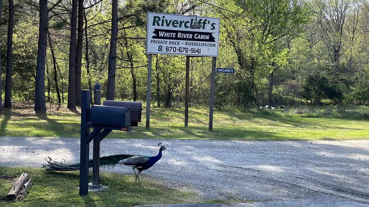 Photo of Outdoor in Lakeview