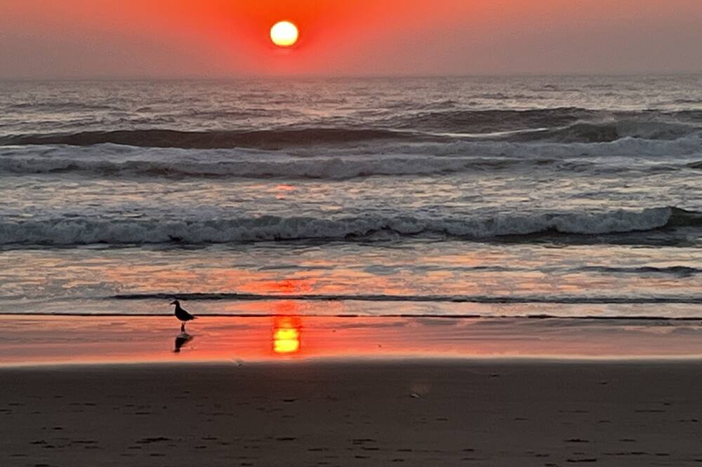 Photo of Outdoor in Lincoln Beach