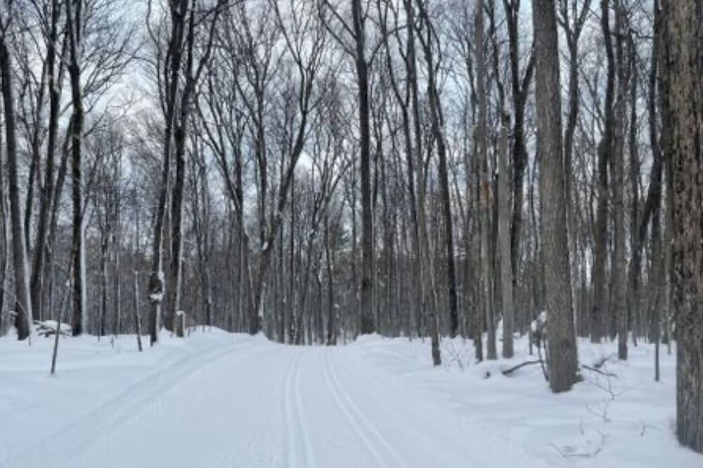 Photo of Others in Oro-Medonte