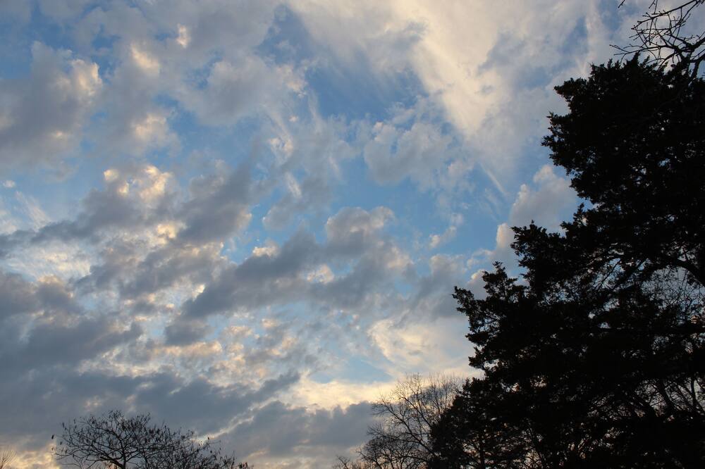 Photo of Outdoor in Oakland