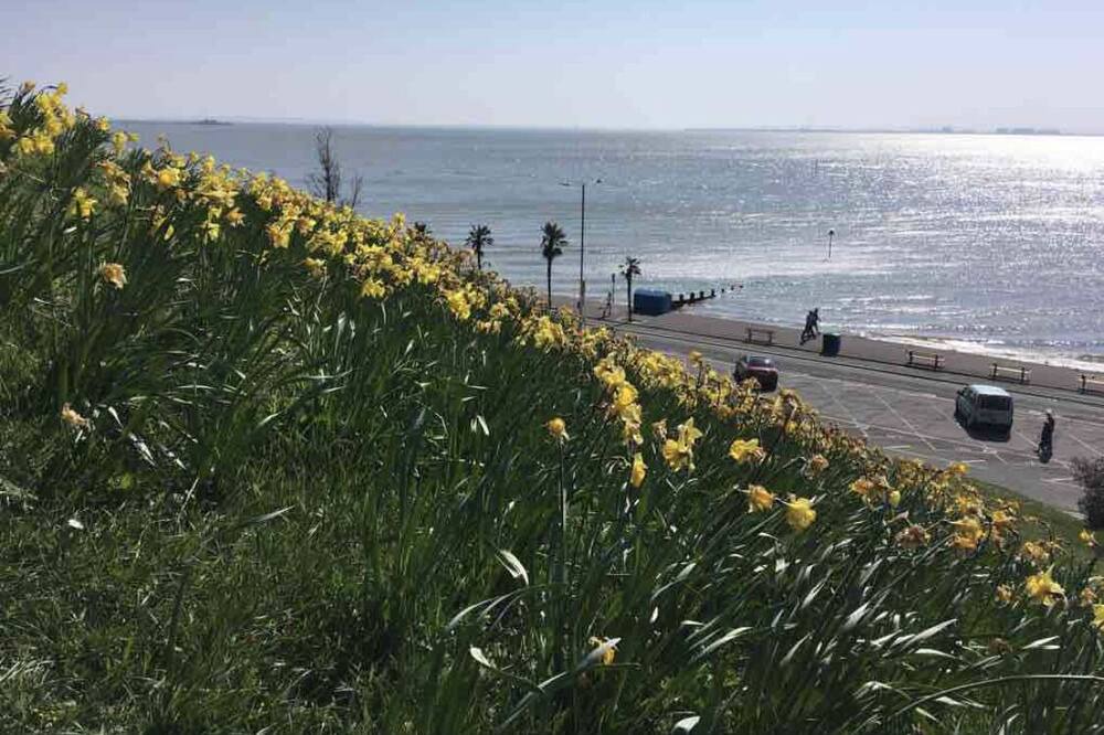 Photo of Others in Westcliff-on-Sea