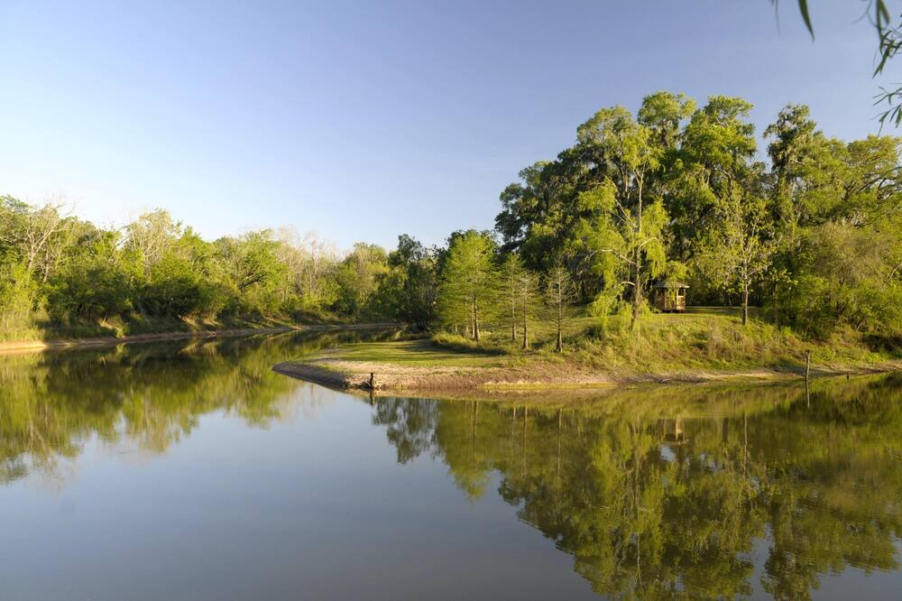Photo of Others in Texas Gulf Coast Region