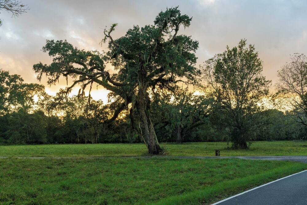 Photo of Others in Texas Gulf Coast Region