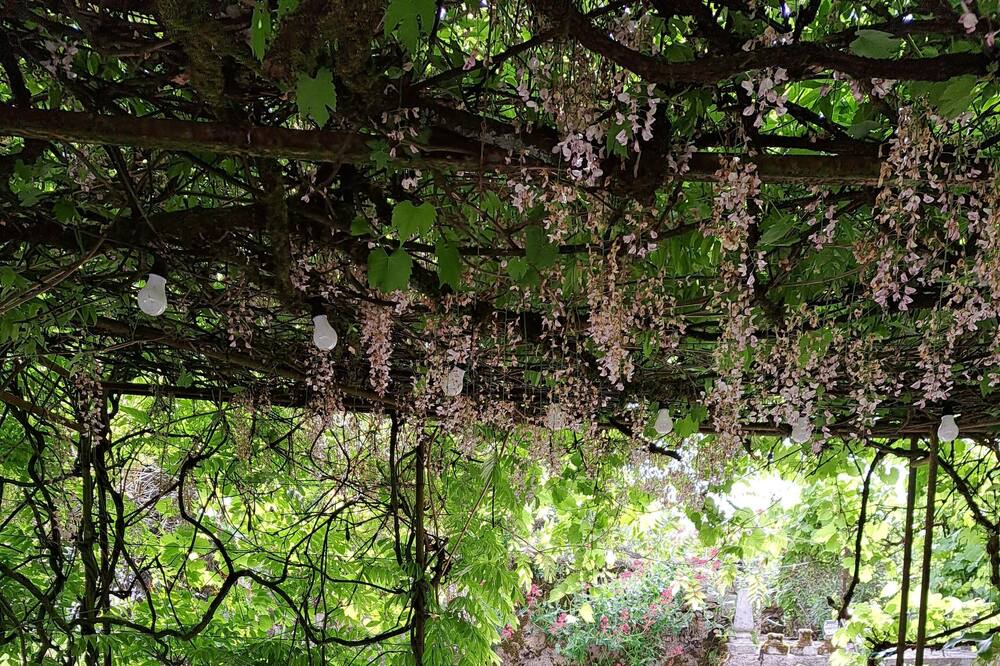 Photo of Outdoor in Cours