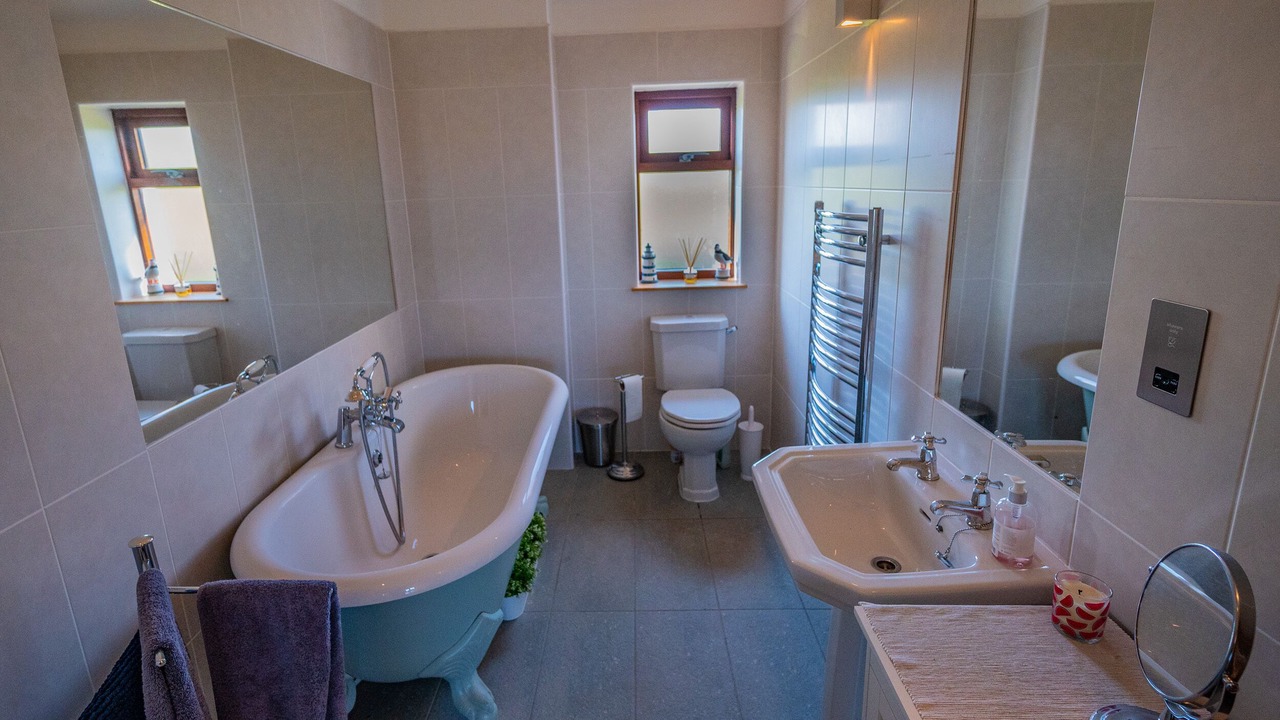 Photo of Others in Hoy Island