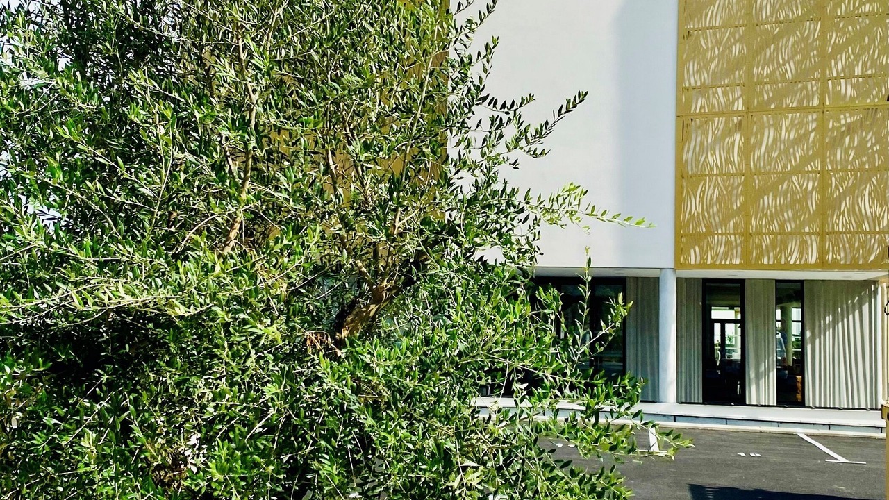 Photo of Outdoor in Quint-Fonsegrives