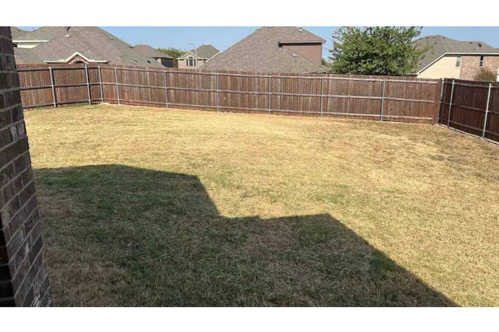 Photo of Others in Fort Worth