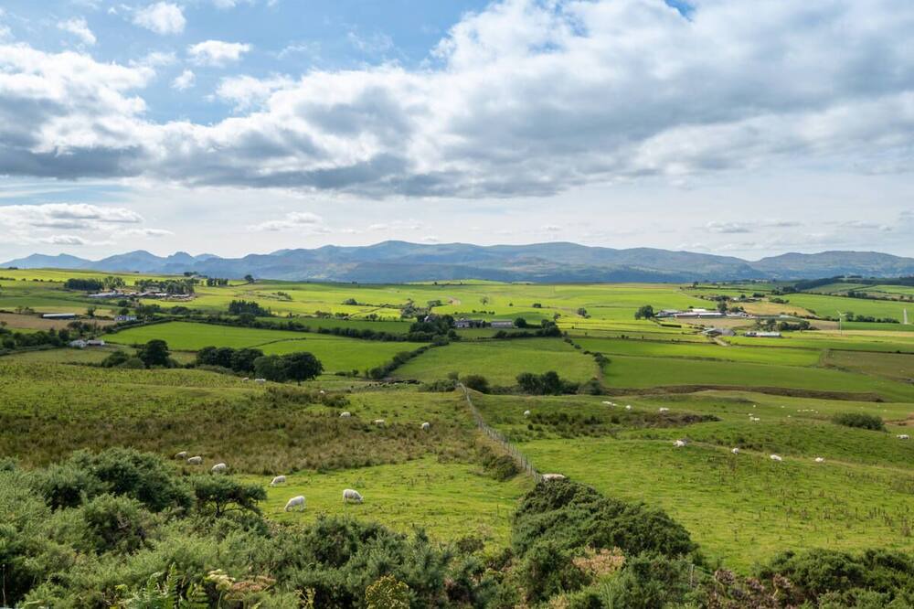 Photo of Others in Gwynedd- Snowdonia
