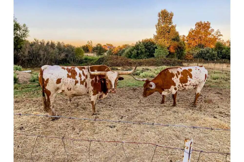 Photo of Outdoor in Loomis
