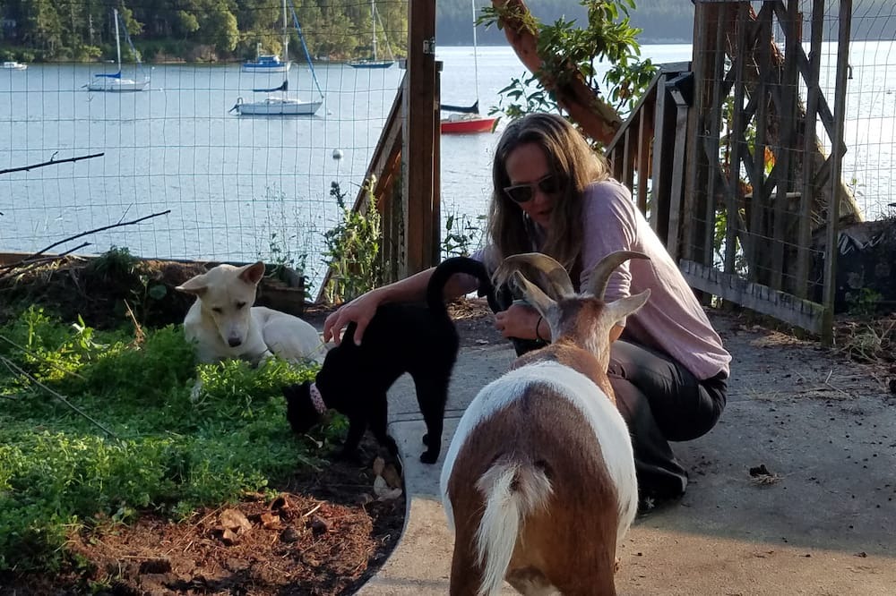 Photo of Others in Nordland