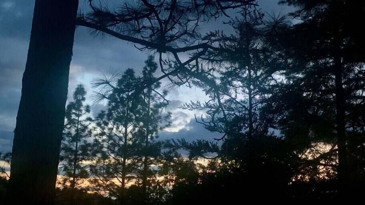 Photo of Outdoor in Apple Hill