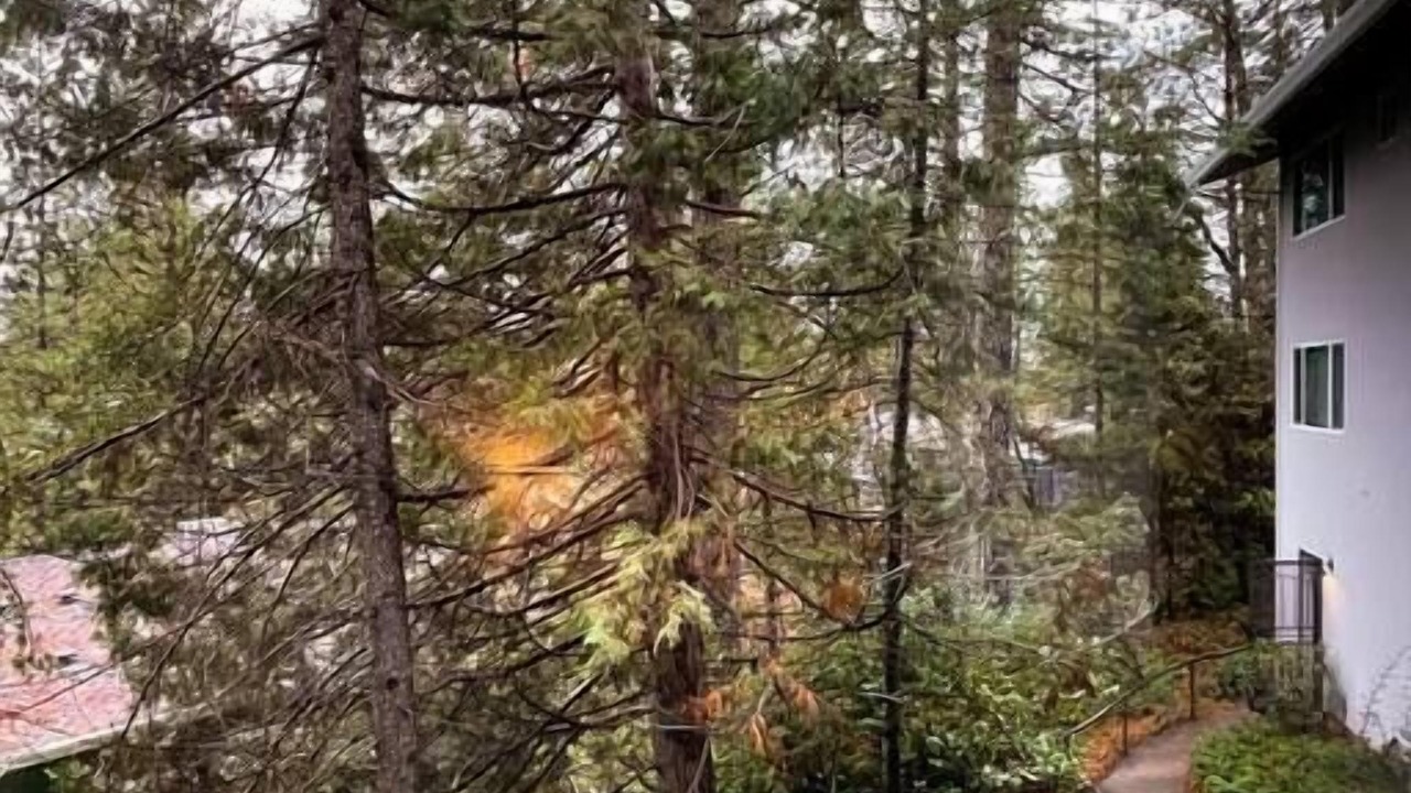 Photo of Outdoor in Apple Hill