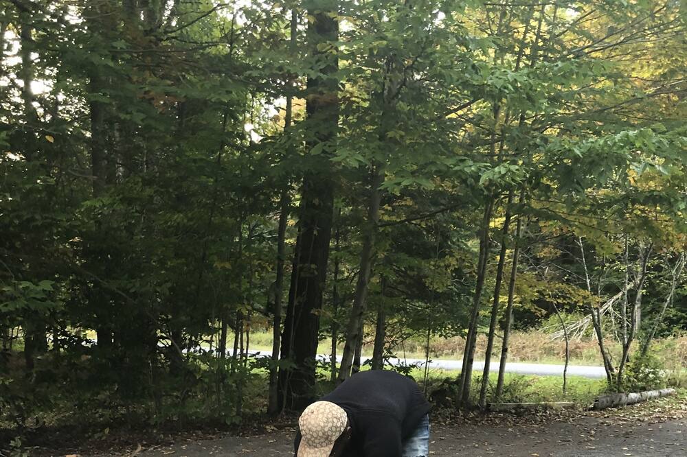 Photo of Others in Alder Creek