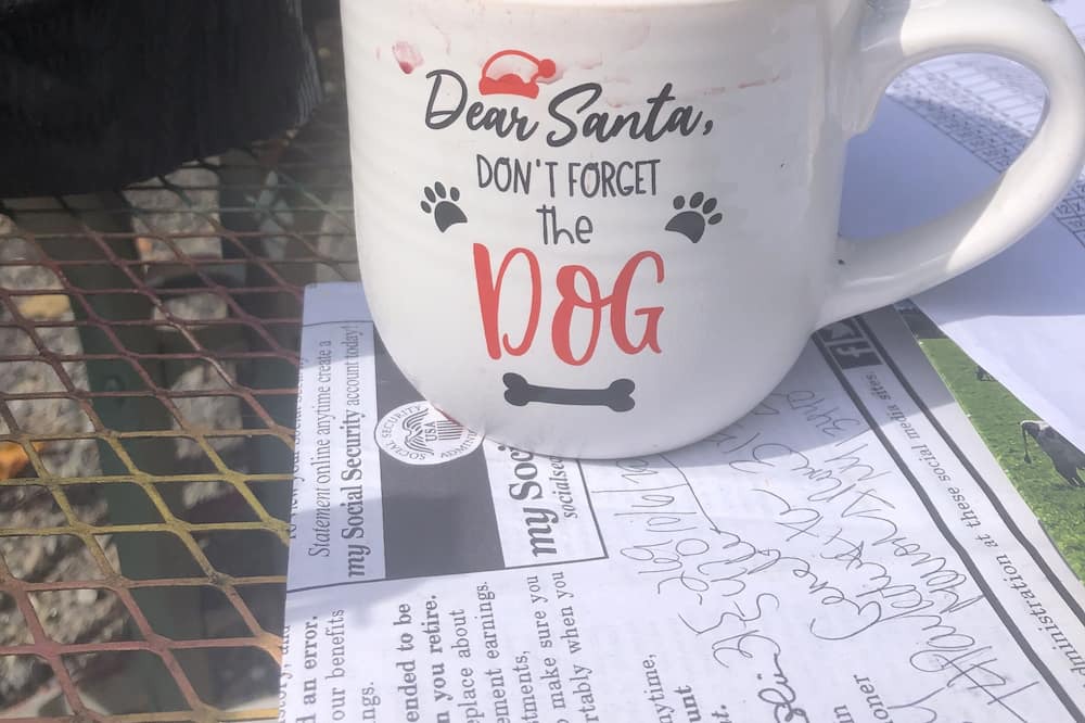 Photo of Others in Alder Creek