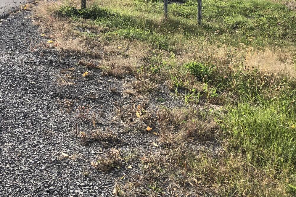 Photo of Outdoor in Alder Creek