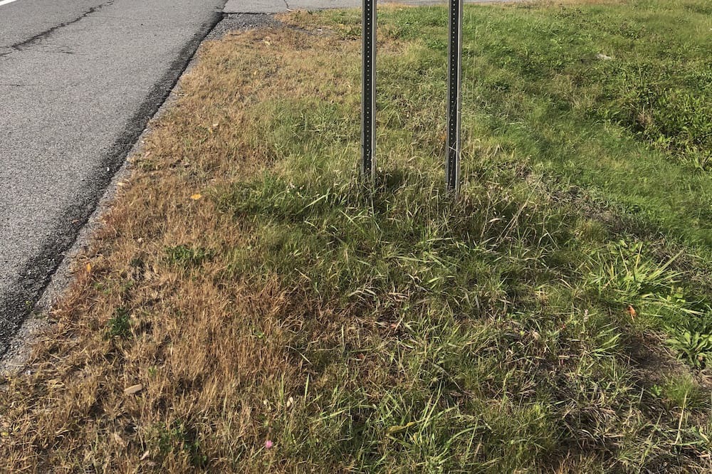 Photo of Outdoor in Alder Creek