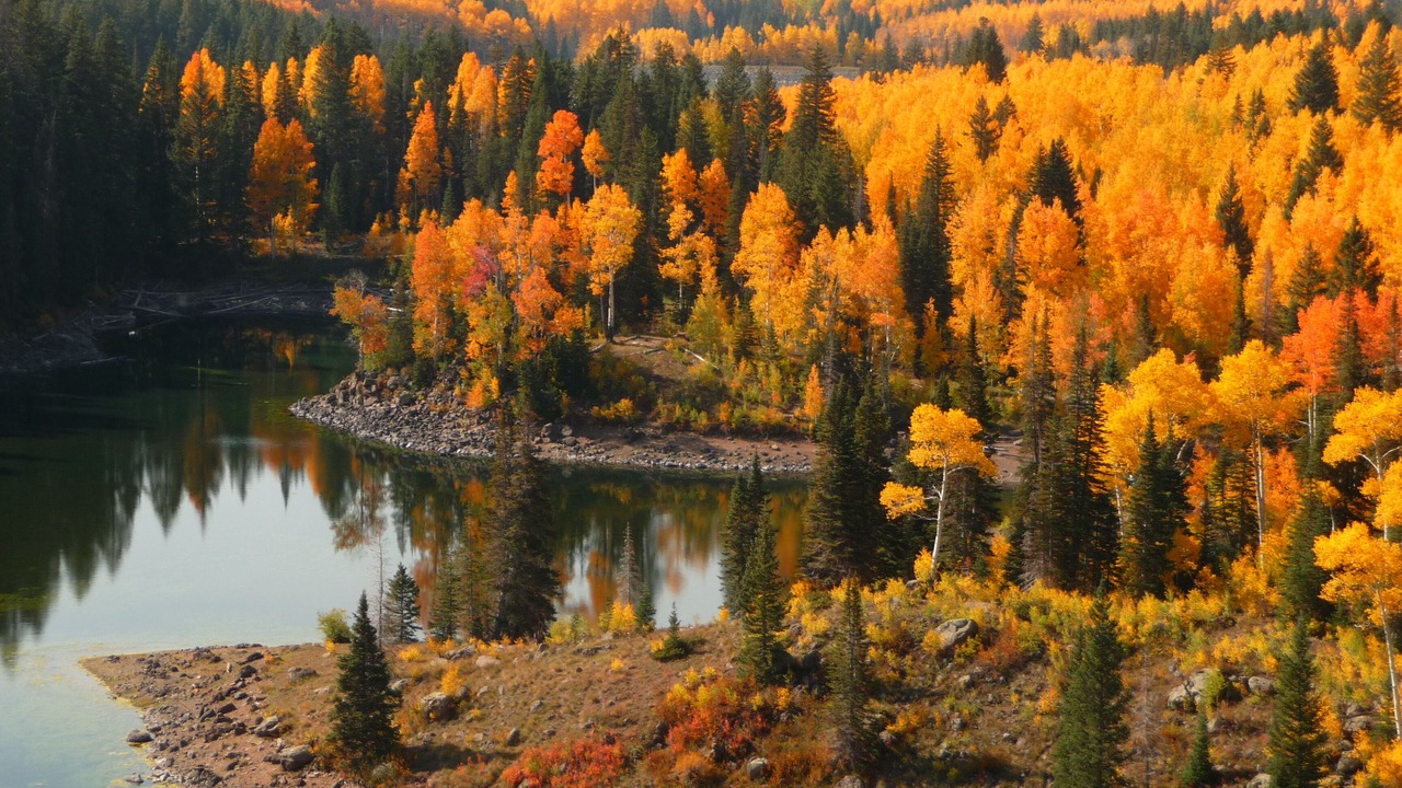 Photo of Outdoor in Cedaredge