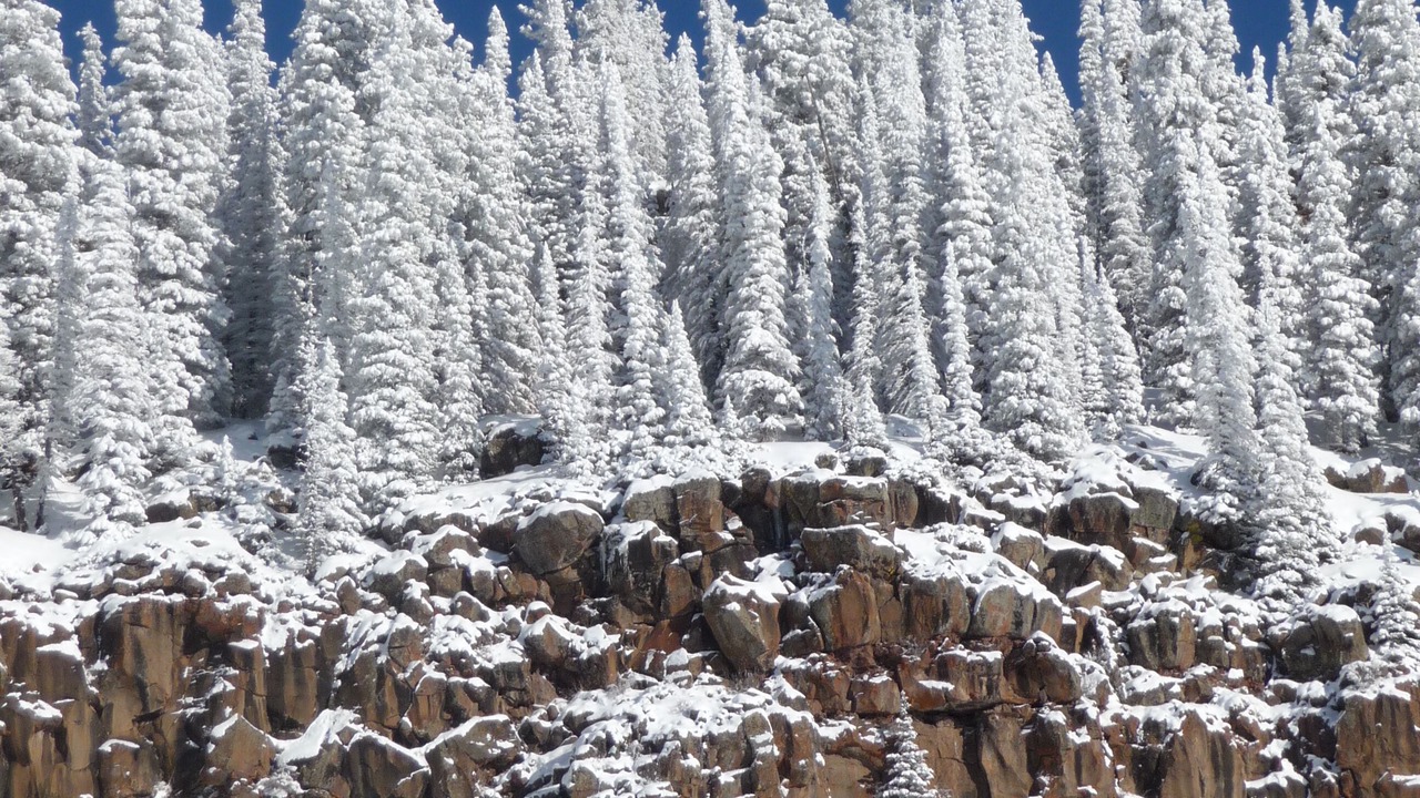 Photo of Outdoor in Cedaredge