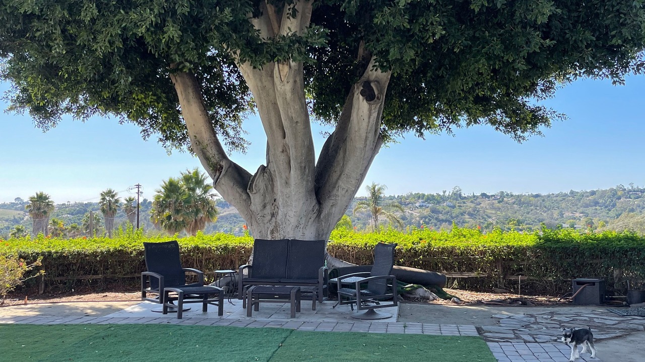Photo of Outdoor in Fallbrook