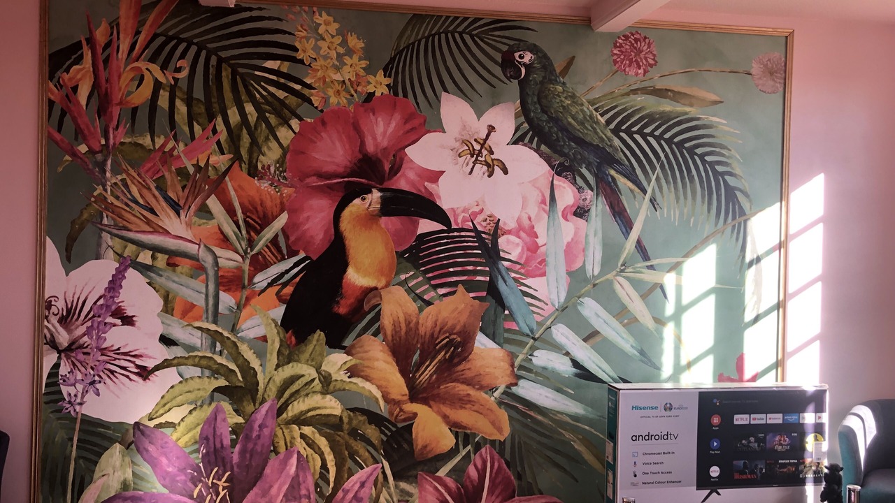 Photo of Others in Lisle-sur-Tarn