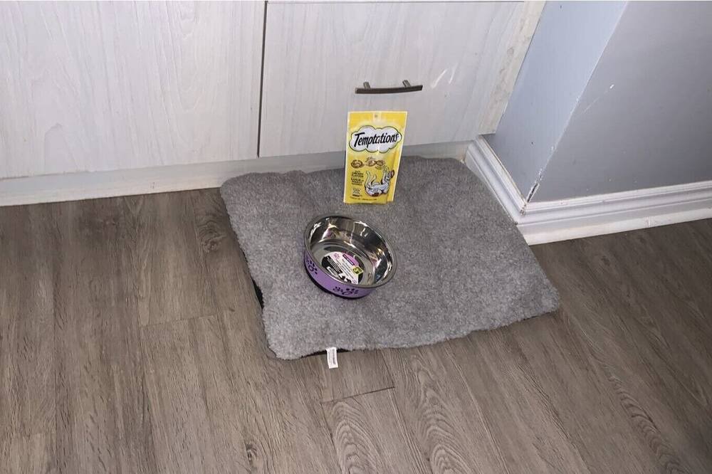 Photo of Bedroom in Whitby