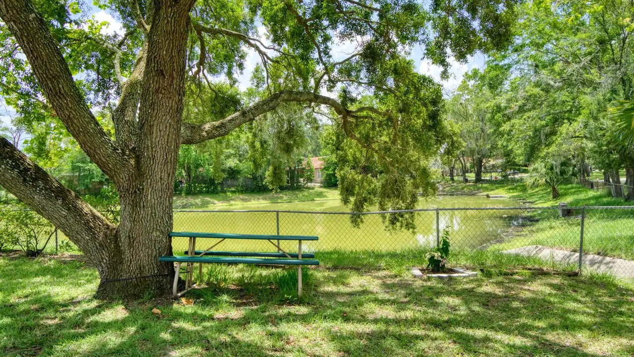 Photo of Outdoor in Orange Park