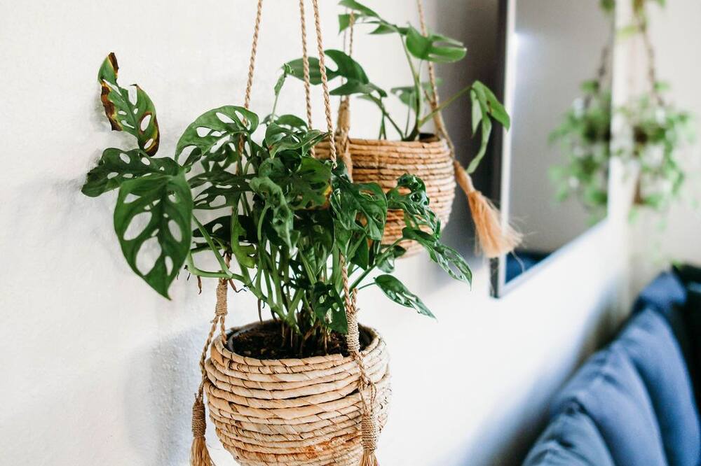 Photo of Livingroom in Penngrove