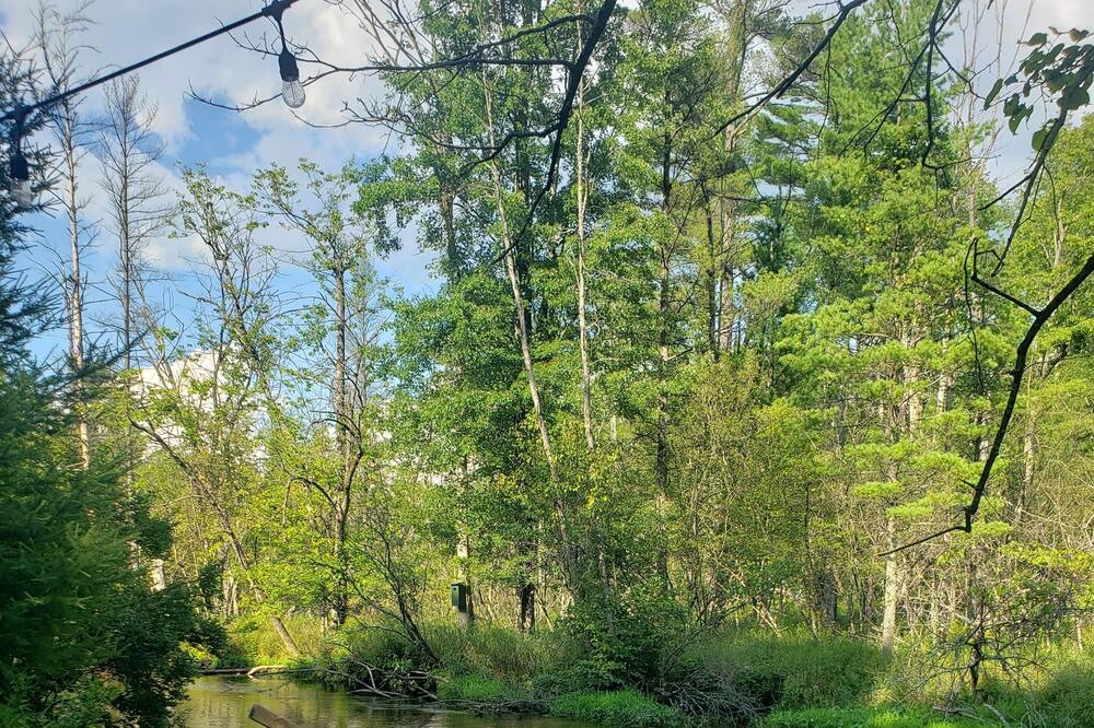 Photo of Outdoor in Baldwin