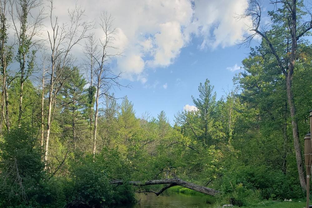 Photo of Outdoor in Baldwin