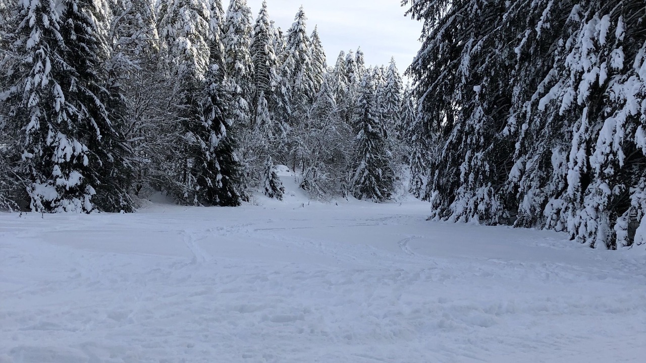 Photo of Others in Ravilloles