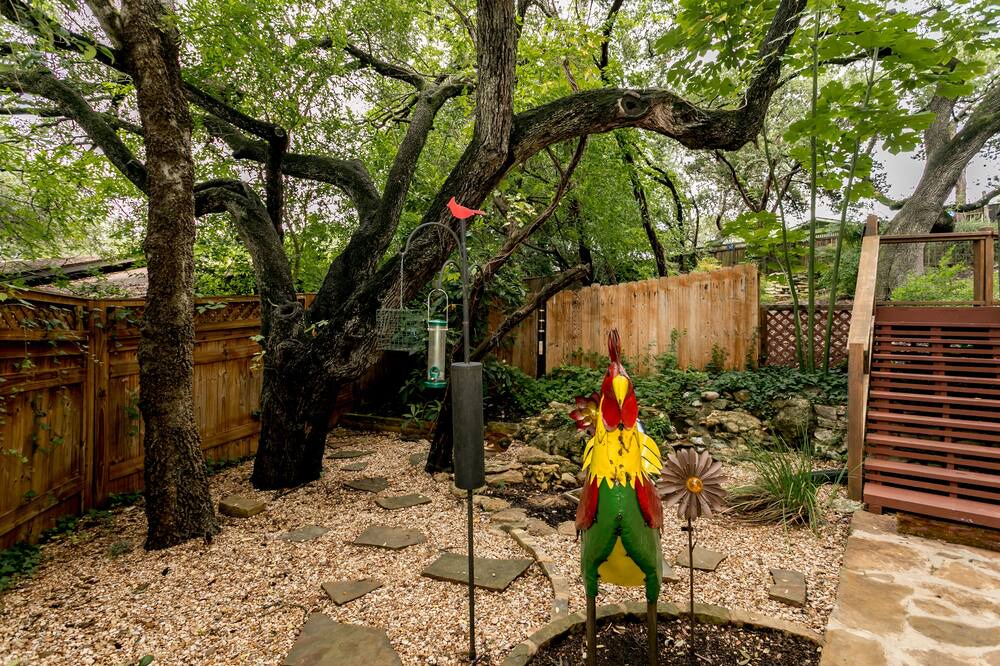 Photo of Outdoor in South Manchaca