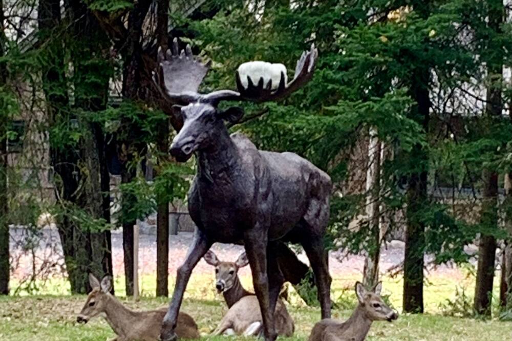 Photo of Others in Town of Webb