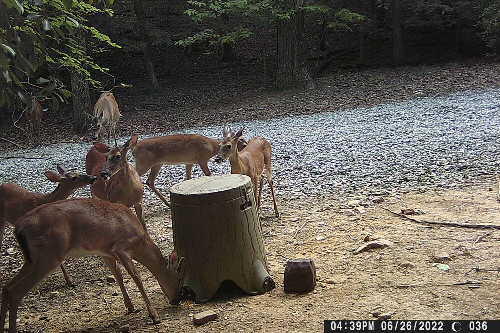 Photo of Others in Morganton