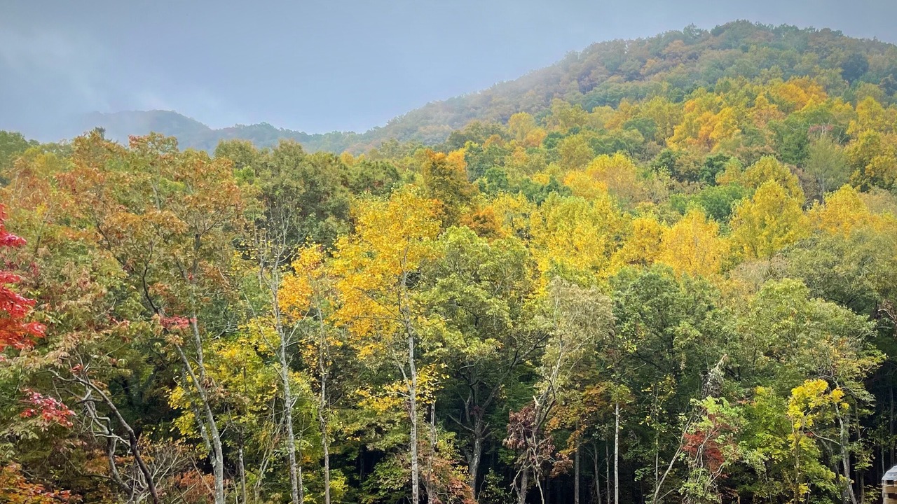 Photo of Outdoor in Rabun Gap