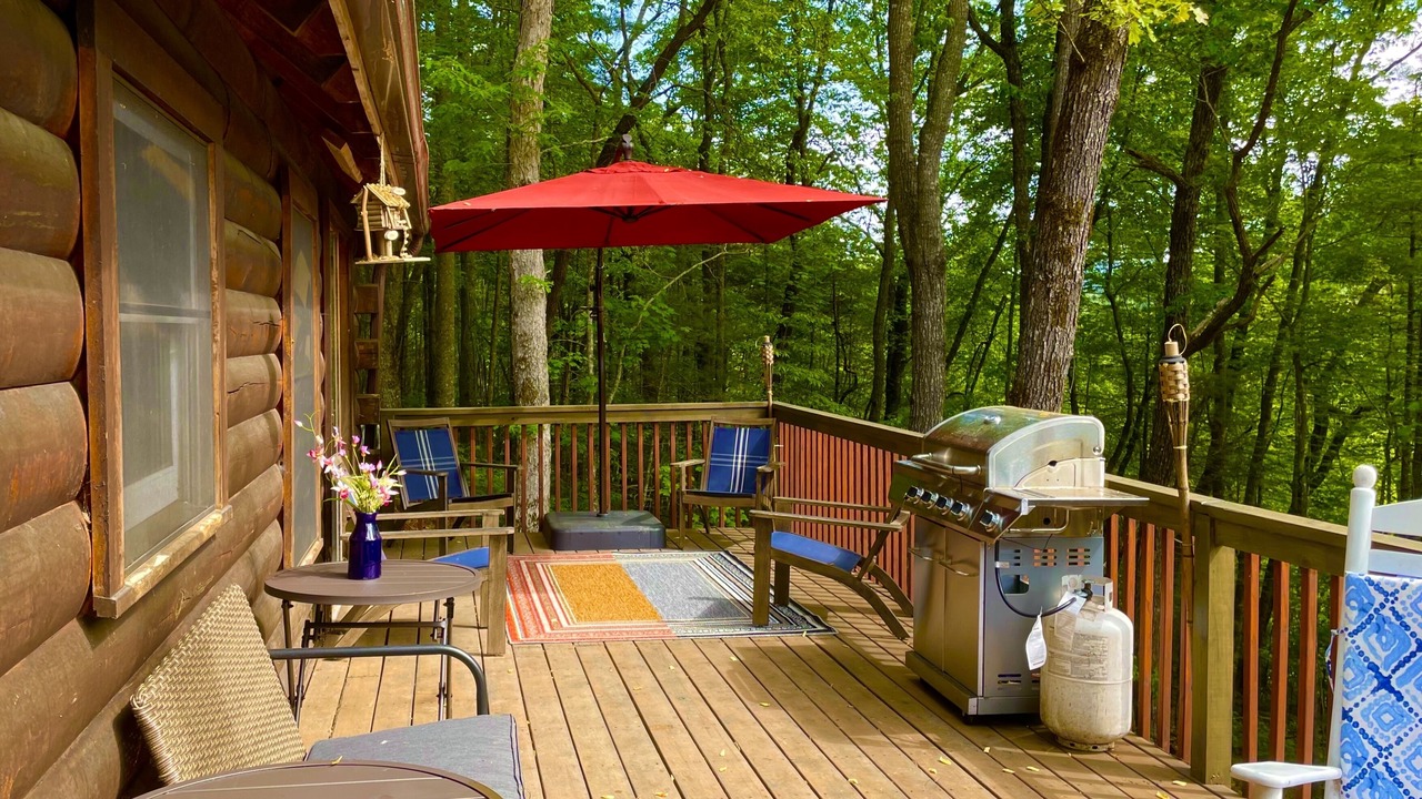 Photo of Outdoor in Rabun Gap