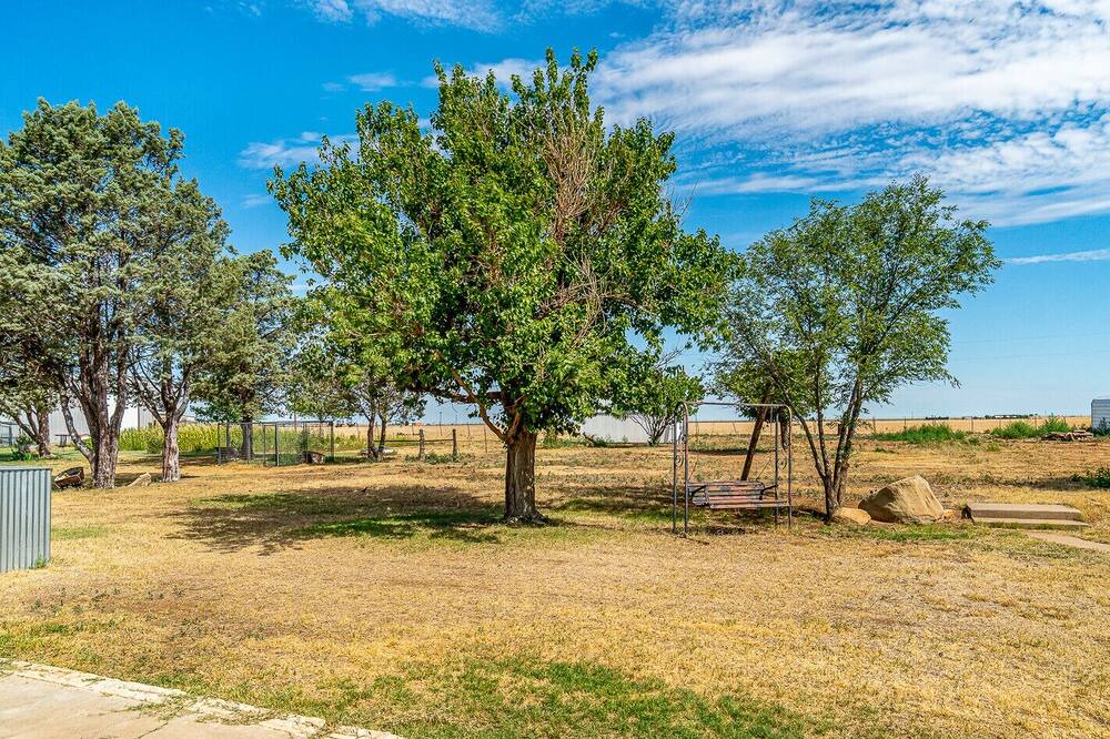 Photo of Outdoor in Tulia