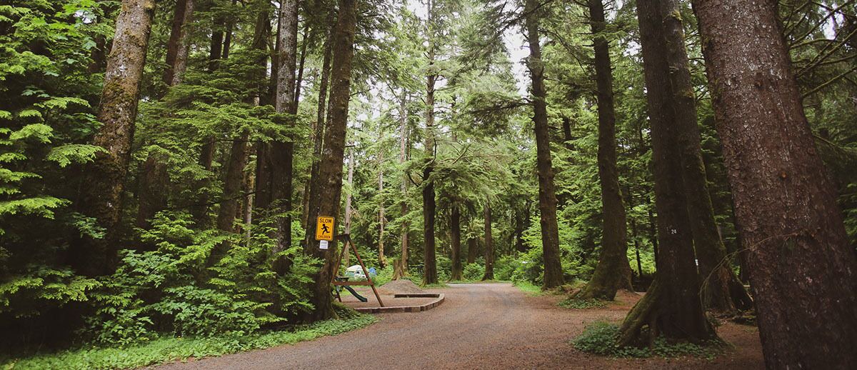 Photo of Outdoor in Forks
