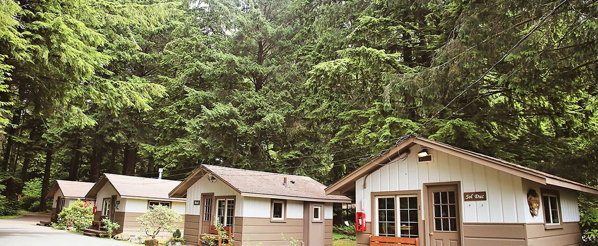 Photo of Outdoor in Forks