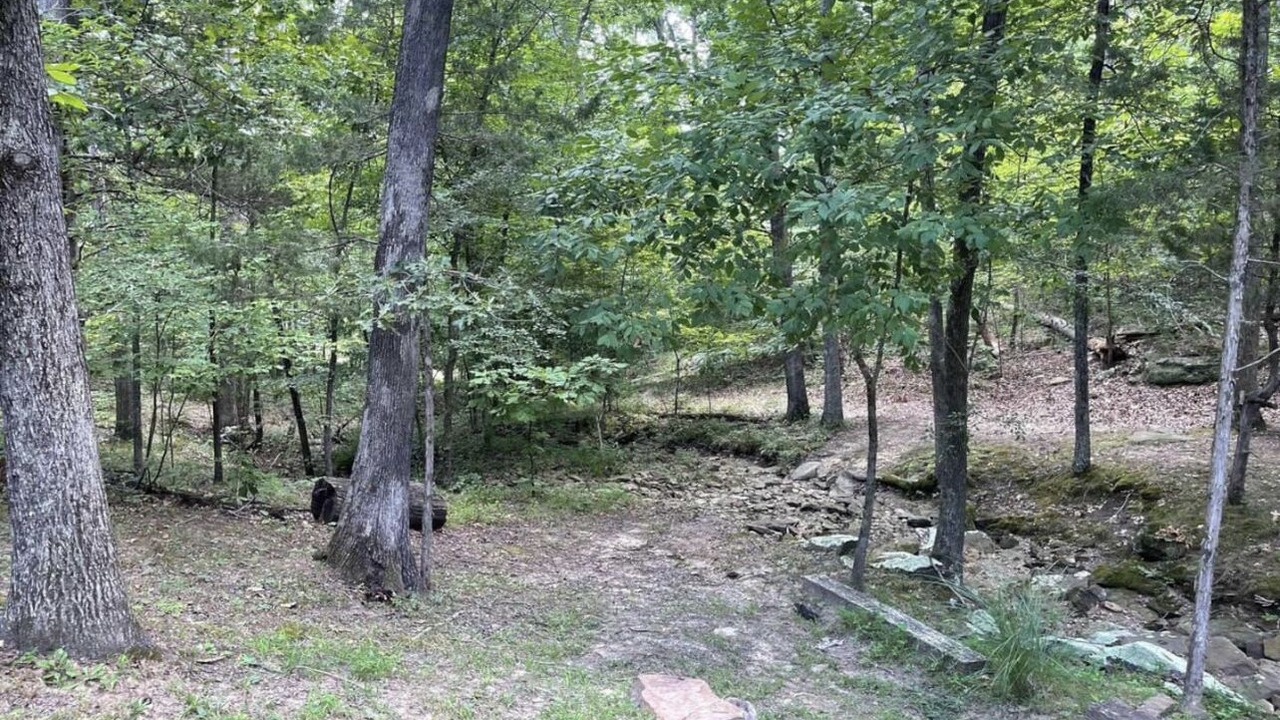 Photo of Outdoor in Goreville