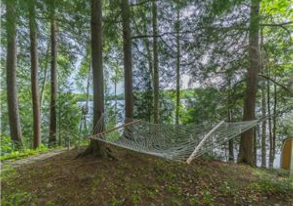 Photo of Outdoor in Algonquin Highlands