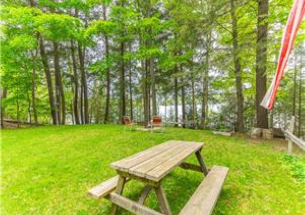 Photo of Outdoor in Algonquin Highlands