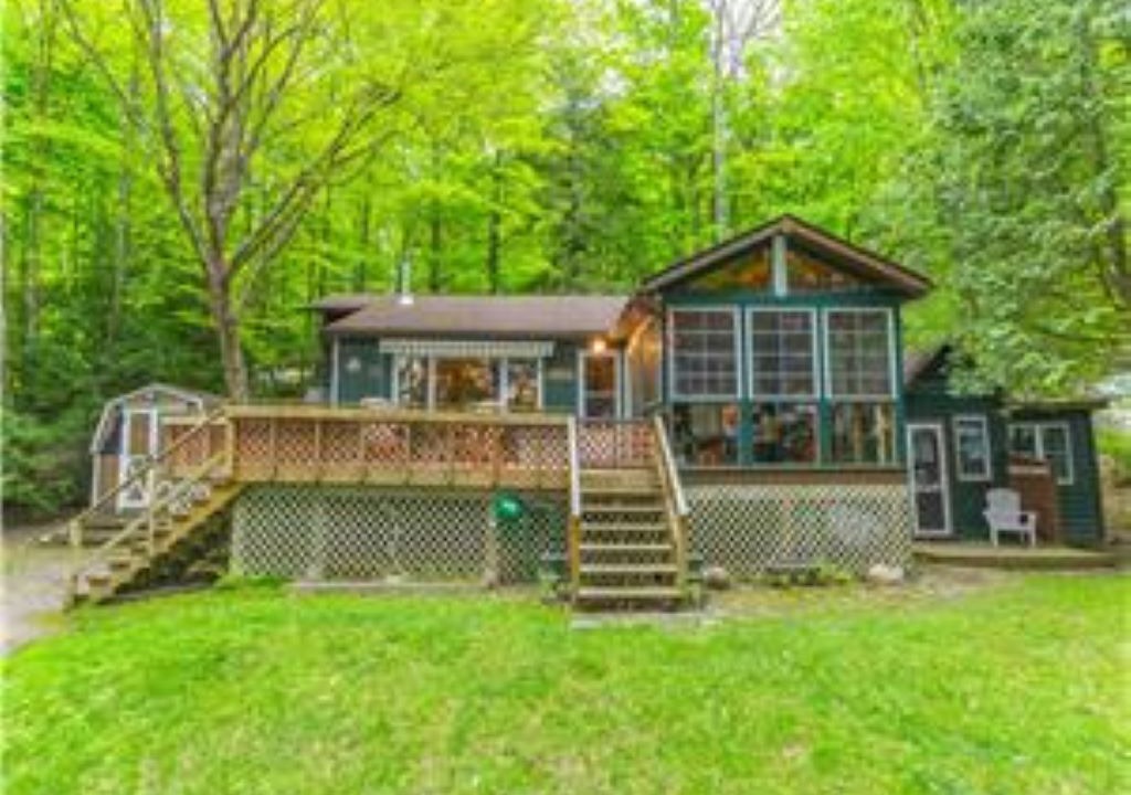 Photo of Outdoor in Algonquin Highlands