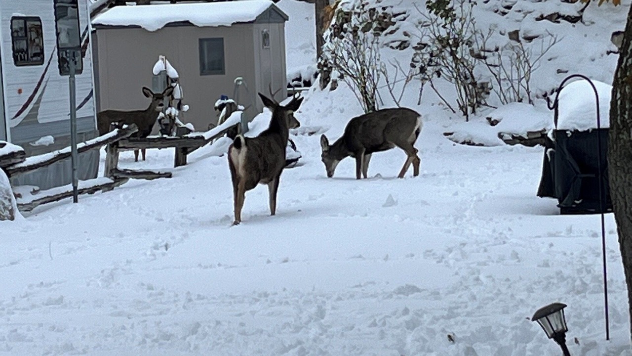 Photo of Outdoor in Wilbur