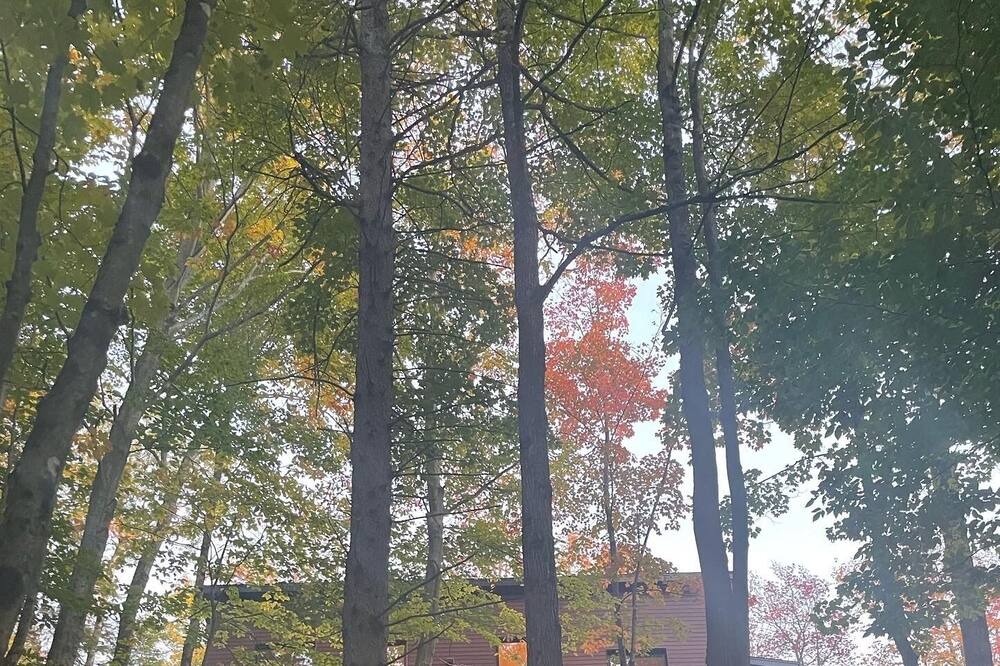 Photo of Others in Morin Heights